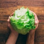 Salada de alface americana 2 salada de alface americana