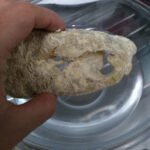 Tilapia na airfryer 4