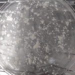 Pizza de microondas 2