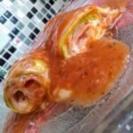 Canelone de abobrinha