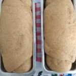 Pao integral caseiro com farinha integral 11