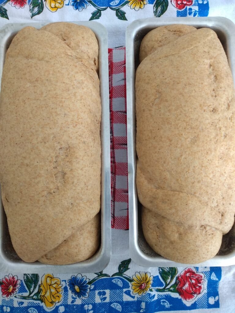 Pão Integral Caseiro com Farinha Integral 13 Pão Integral Caseiro com Farinha Integral