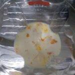 Pudim de trigo economico 6