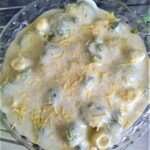 Brocolis gratinado 5