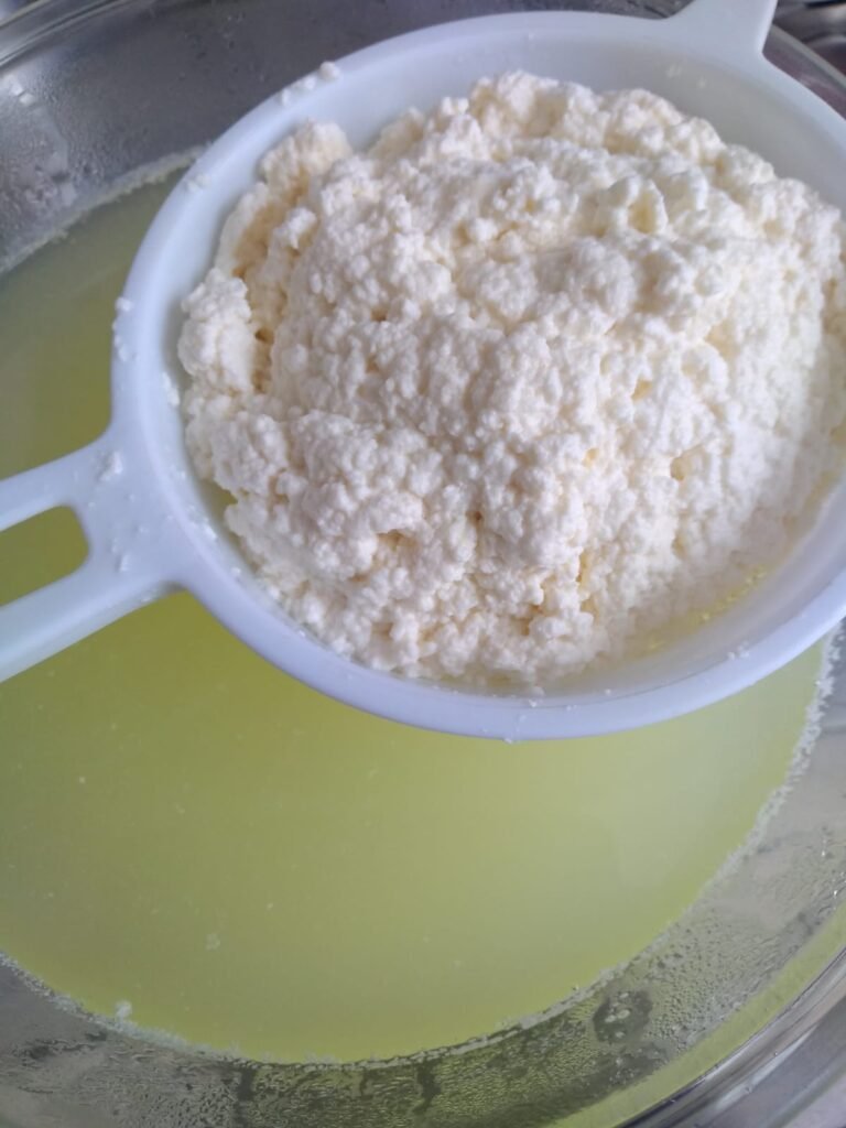 Cream Cheese Caseiro de Leite 5 Cream Cheese Caseiro de Leite
