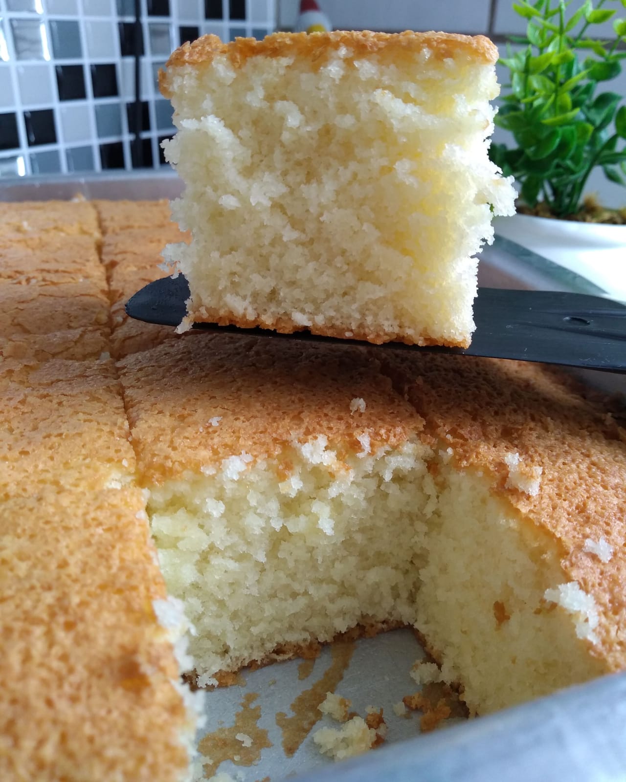 Bolo de trigo com maizena, simples e muito fofinho! Receita por