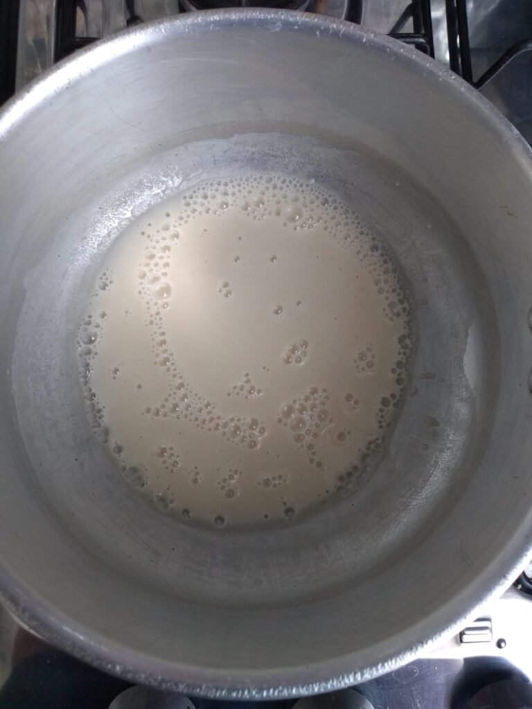 SHOKUPAN (Pão Hokkaido)