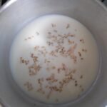 Mingau de Aveia com Maça Caramelizada 3