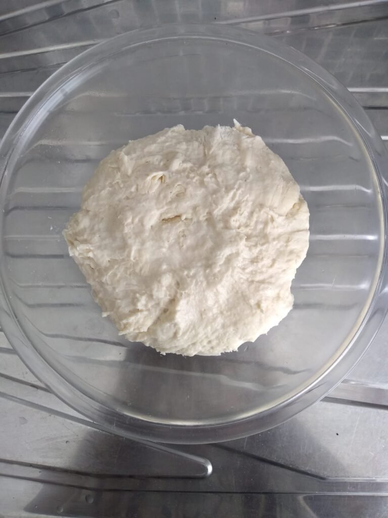 Pão Caseiro de Água Sem Sovar