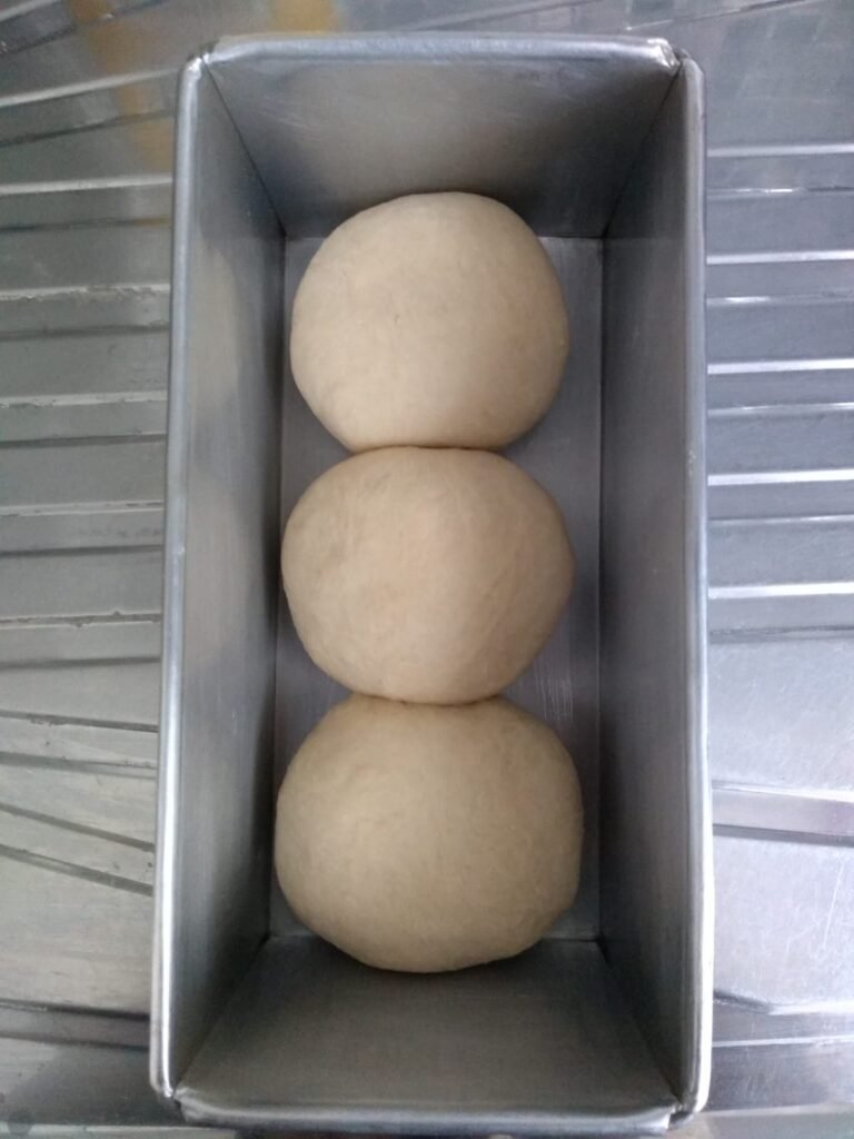 Pão sem Sovar 8 Pão sem Sovar
